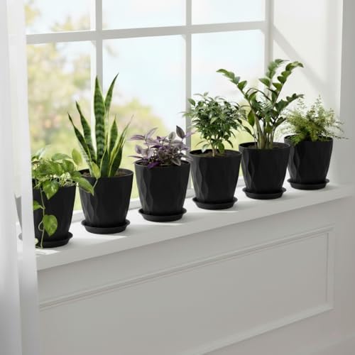 6 Pack 8 Inch Plastic Plant Pots with Drainage Holes and Trays, Black - color: Black 8 Inch