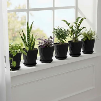 6 Pack 8 Inch Plastic Plant Pots with Drainage Holes and Trays, Black - color: Black 8 Inch