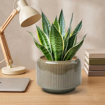 6 Inch Ceramic Plant Pots Set of 2 with Drainage Hole for Indoor Plants - color: Navy & Taupe
