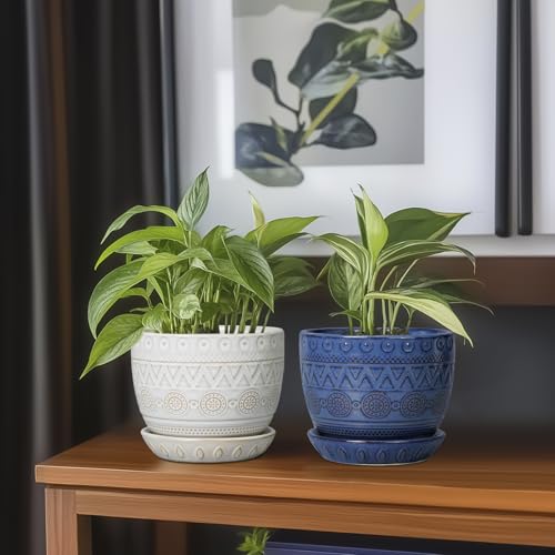 G EPGardening Ceramic Planters for Indoor Plants, 5 Inch Plant Pot, White - color: Triangle White