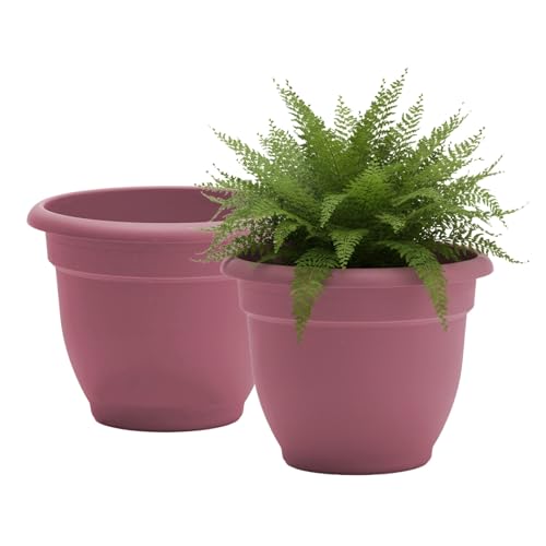 Bloem Ariana 12" Plastic Self-Watering Planter, Dusty Rose, 2-Pack - color: Dusty Rose, size: 12" (Pack of 2)