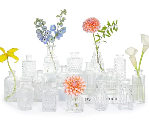 SUPMIND 16Pcs Clear Glass Bud Vase, Small Flower Vase for Centerpieces Bulk - color: Clear