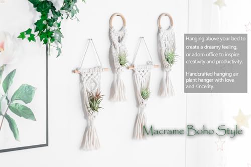 Melphoe 4 Pack Air Plants Holders Stand Air Fern Macrame Plant Hanger Indoor Hanging Planter Basket for Tillandsias Display, Boho Home Decoration Gift Idea