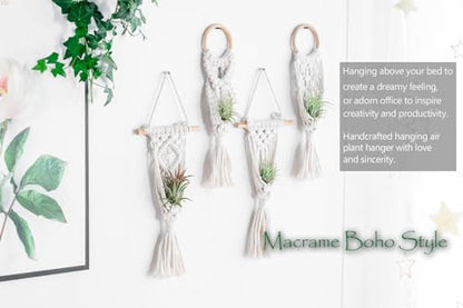 Melphoe 4 Pack Air Plants Holders Stand Air Fern Macrame Plant Hanger Indoor Hanging Planter Basket for Tillandsias Display, Boho Home Decoration Gift Idea