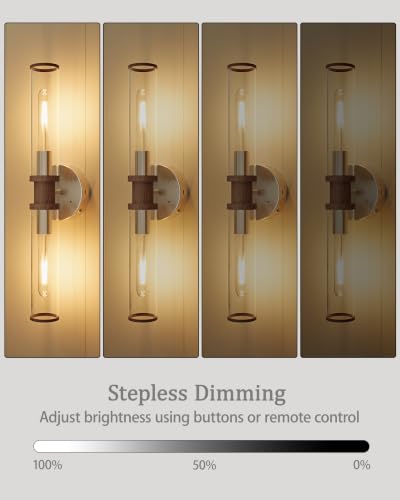 Rayogale Nickel & Walnut Wireless Battery Operated Wall Sconces with Remote - color: Nickel & Walnut(Clear Tubular Lampshade)