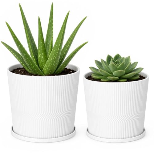 2 Plant Pots Indoor,4.8''+5.5'' Small Flower Pots with Saucers & Drainage - color: White, size: 4.8''+5.5''
