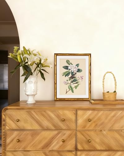 InSimSea Gold Bamboo Framed Wall Art, Vintage Bird Botanical Prints,11x14In - color: Canada Warbler