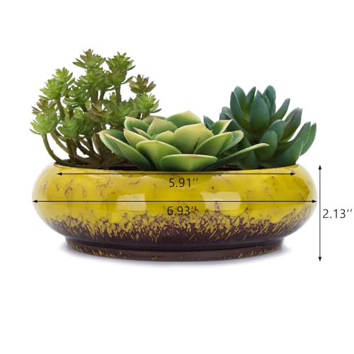 VanEnjoy 7.3 inch Round Large Shallow Succulent Ceramic Glazed Planter Pots with Drainage Hole, Bonsai Pots Garden Decorative Cactus Stand Flower Container (Yellow) - color: Yellow