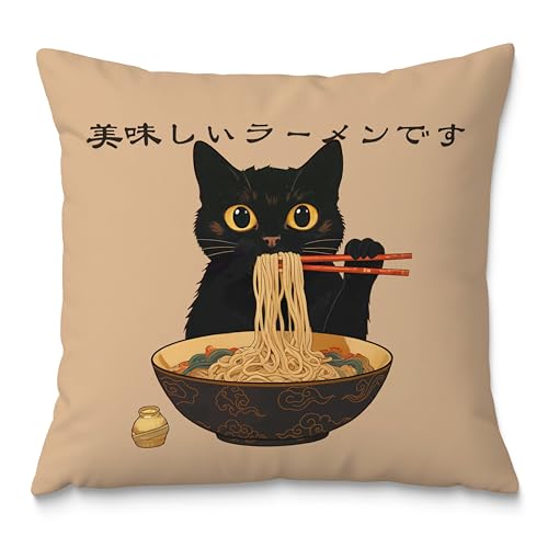 Funny Vintage Cute Anime Black Cat Japanese Ramen Noodles Pillow Covers 18x18, Aesthetic Black Cat Art Painting Decor Pillow Covers for Room Bedroom - color: Style11