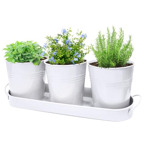 Small Pots for Plants, 3-Pack 4.7 Inch White Metal Herb Pots, Mini Windowsill Planter for Succulent, Cactus, Basil, Mint, Rosemary - color: White