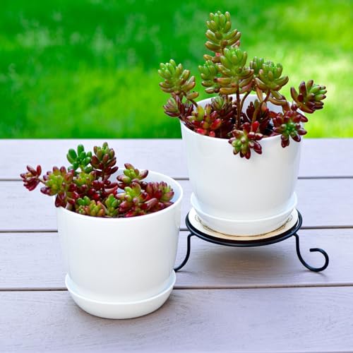 Tergy 50 Pack 4 Inch Plant Pots Bulk Small Plastic Planters Pots with Drainage Holes Flower Pot for Succulent, Cactus, Herb, African Violet (50pcs-White, 4Inches) - color: 50pcs-white, size: 4Inches