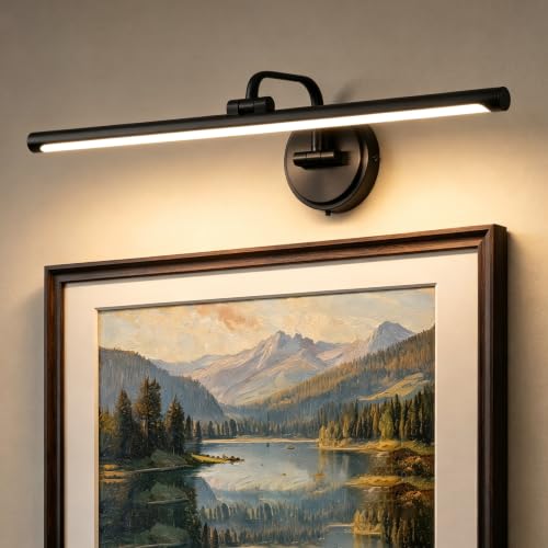Hardwired Picture Light for Wall, 24 Inch Modern Black Dimmable Frame Light with Adjustable Swing Arm, 3CCT LED Art Display Light for Paintings,120 Volts Gallery Wall Light, Hallway Vanity Light, 8W - color: Black, size: 24 inches