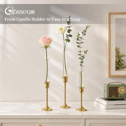Glasseam 6Pcs Glass Bud vase for Candle Holder, 7.87" Tall Small Vases Set - size: 7.87“ Tall