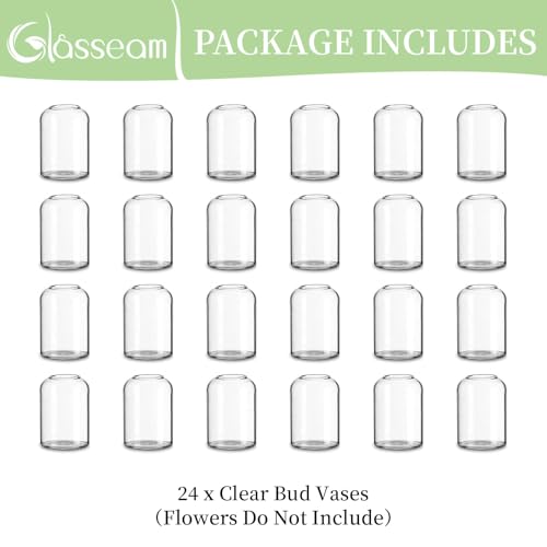 Glasseam Glass Bud Vases for Centerpieces: Bulk of 24 Clear Small Vases - size: S-24Pcs