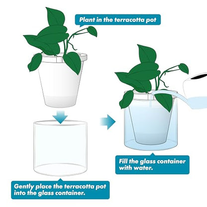 D'vine Dev Self-Watering White Terracotta Planter Pot, 8 in, 37-X-C-2 - color: White, size: 8 Inch