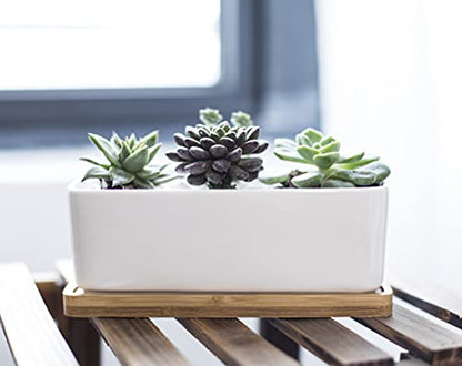 LANKER 6.5 Inch Rectangle White Ceramic Succulent Planter Pot with Bamboo Tray