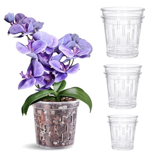 TRUEDAYS Orchid Pot 6 Pack, 2 Each of 4/5/6 Inch Plant Pot with Drainage - size: 4/5/6Inch-6Pack