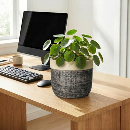 8 Inch Plant Pot, Ceramic Flower Pots, Round Planter, Light Black - color: Light Black, size: 8 Inch