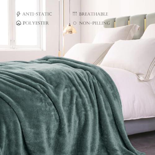 Exclusivo Mezcla Fuzzy Plush Fleece Bed Blanket Queen Size, Celadon - color: Celadon, size: 90x90 IN