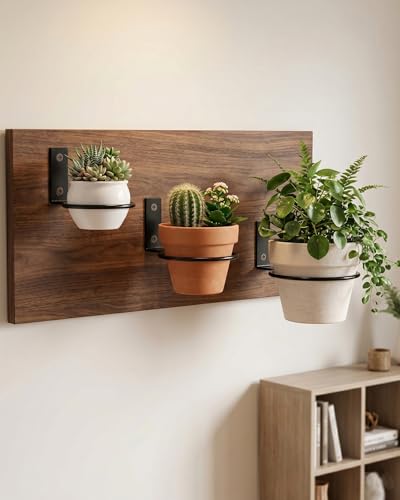 vensovo 6 Pack 4 Inch Metal Wall Planter Rings with Mounting Hooks - size: 4 Inch