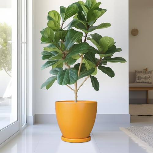 10 Inch Plant Pot - Ceramic Planter with Drainage Hole and Saucer, Modern Flower Pot, Round Planters for Indoor Plants, Home Patio Bathroom Porch Garden Living Room Decor, Orange - color: Glossy Orange, size: 10 Inch