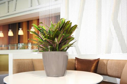 Lechuza Classico LS 21 Shiny Taupe High Gloss, Self-Watering Round Planter, D8.3 H7.9 in - color: Shiny Taupe, size: D21 H20 cm