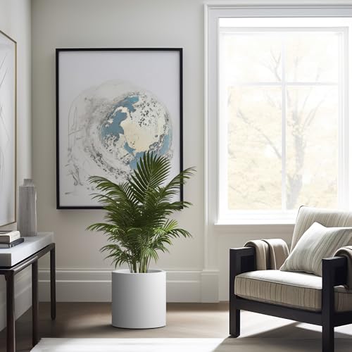 Kante Accent Round Cylinder White Concrete Planter 12.9" Tall, Outdoor - color: Pure White, size: 12.6" Dia