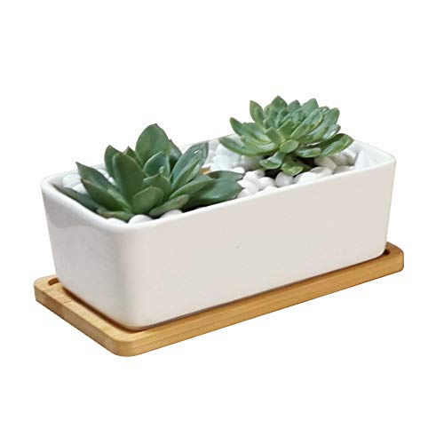 LANKER 6.5 Inch Rectangle White Ceramic Succulent Planter Pot with Bamboo Tray