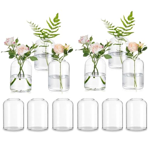 Glasseam Glass Bud Vases for Single Stem Flower, Small Clear Vase Set of 12 - size: S-12Pcs