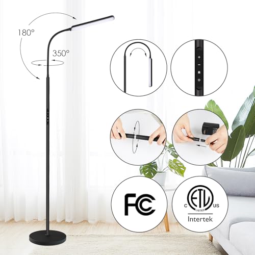 Dimunt LED Floor Lamp, Stepless Adjustable 3000K-6000K Colors, Black - color: Black