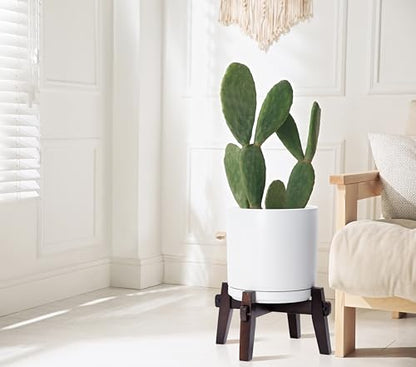 D'vine Dev Ceramic Planter with Wood Stand - 10 Inch Mid Century Modern Cylinder Indoor Plant Pot Set for Indoor Plants & Flowers, White, 55-A-X-1 - size: 10 inch