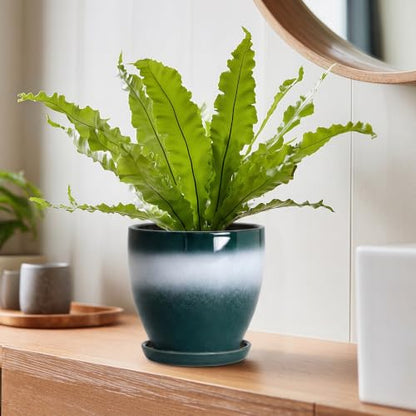 Ceraimc 6 Inch Planters, Ceraimc Pots for Plants, Green-White - color: Green-white, size: 6 Inch