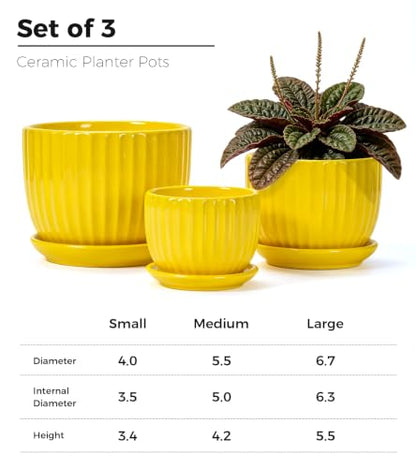 Ceramic Planters,Yellow Plant Pots with Drainage Holes and Saucers Set of 3 - color: Yelllow