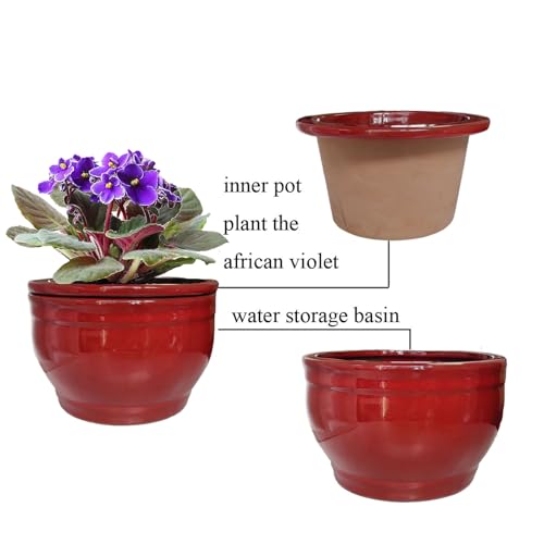 Self Watering African Violet Pots Red 6 inch - color: Red