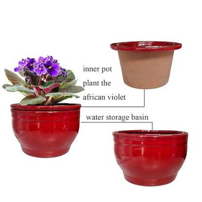 Self Watering African Violet Pots Red 6 inch - color: Red
