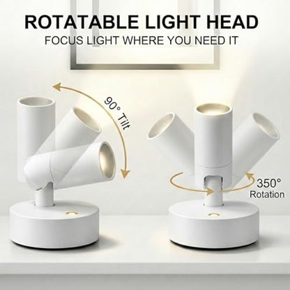 Magnetic Rechargeable Picture Light 2 Pack, Wireless Art Spotlight with Remote & Touch Control, 3 Color Temps Dimmable Wall Light, 2000mAh Battery Accent Lighting for Painting, Gallery, Display - color: White