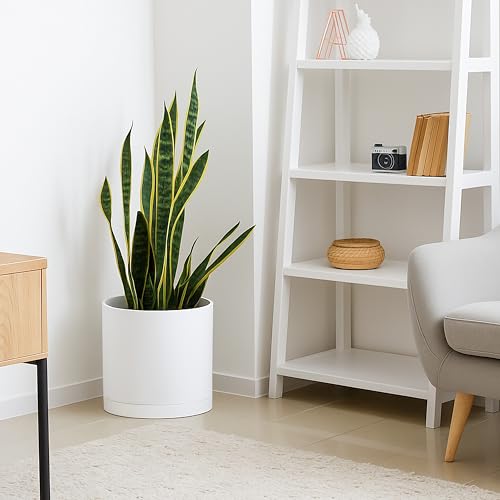 D'vine Dev Plastic Planter Pot with Saucer, 12 in, White, 74-X-A-3 - color: Matte White, size: 12 Inch