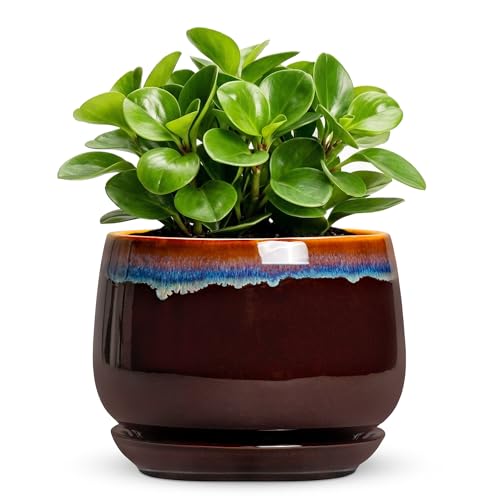 Ceramic Plant Pots - 6 Inch Planter with Drainage Hole and Saucer, Small Succulent Pot for Indoor Plants, Round Decorative Flower Pots, Garden Shelf Decor, Plant Gifts for Women, Brown-Blue - size: 6 Inch, style: Brown-blue