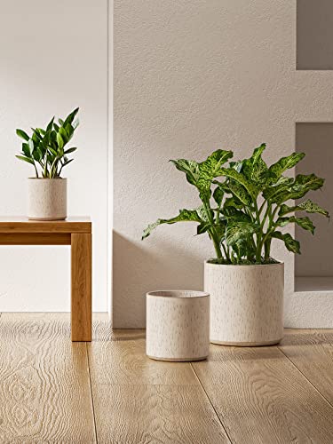 LE TAUCI 10+8+6 Inch Ceramic Pots for Plants, Indoor Planters with Drainage Hole and Plug, Modern Cylinder Flower Pots Set of 3 for Living Room and Bedroom, Glossy, Linen Birch - color: Linen Birch