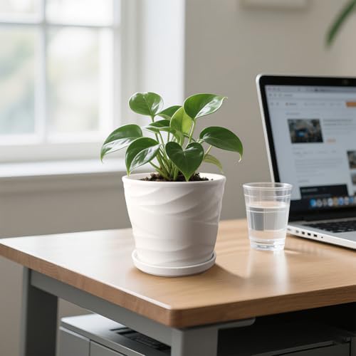 Ceramic Plant Pot, 6.7 + 5.5 Inch, White - color: Pure White, size: 6.7 + 5.5 Inch-2 Pack