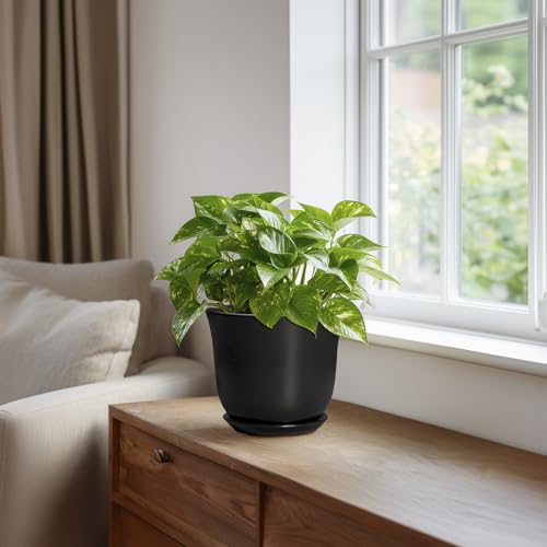 Ceramic Planter, 5.6 Inch Plant Pot, Black - color: Black, size: 6 Inch