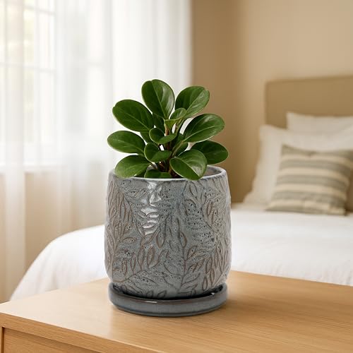 D'vine Dev Embossed Leaves Ceramic Planter, 4 in, Graphite Blue, 27-A-Z-9 - color: Graphite Blue, size: 4 Inch