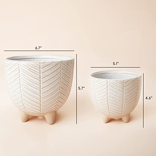 LA JOLIE MUSE Ceramic Plant Pots, Flower Pots for Indoor Plants, Set of 2