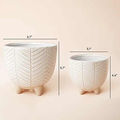 LA JOLIE MUSE Ceramic Plant Pots, Flower Pots for Indoor Plants, Set of 2
