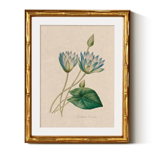 InSimSea Gold Bamboo Framed Wall Art, Blue Lotus Botanical Prints, 11x14In - color: Blue Lotus