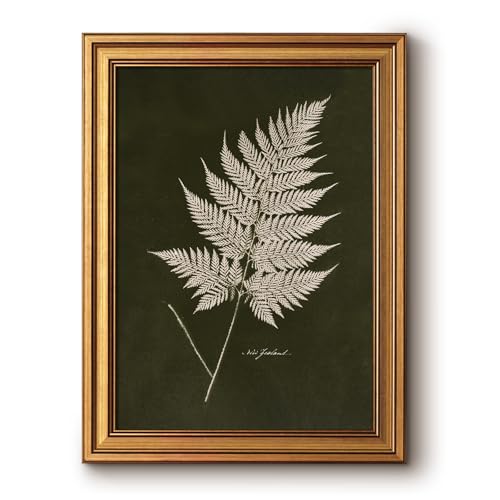 Bzstyleart Gold Framed Vintage Botanical Fern Wall Art 12x16 Inch - color: Fern Leaves, size: 16"L x 12"W