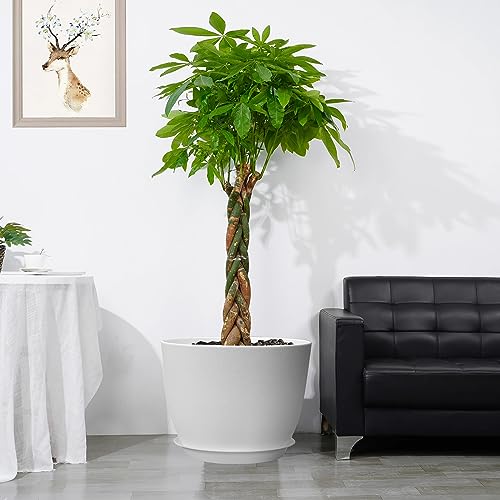 UOUZ 12inch Large Plant Pot, Modern Plastic Planter with High Driange Holes and Saucer for Indoor Outdoor Garden Plants and Flowers, White - color: White