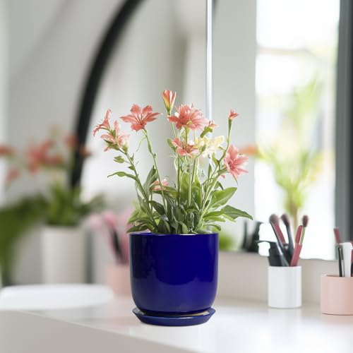 Succulent Pot 5 Inch, Modern Ceramic Planter, Blue - color: Dark Blue, size: 5.3 Inch