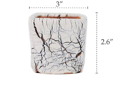 Ceramic Planter Pots w/Drainage, 3 Inch Set of 2, Indoor Outdoor Home Patio Garden Plants Flower Succulent, Crackle-Texture Square - style: Crackle-Texture Square-3" (2 pack)