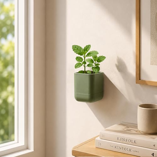 Phoenix Vine 3.5 Inch Wall Mounted Self-Watering Planter Pot for Indoor Houseplants and Herbs | Hanging Planter for Window Sills, Bathroom Walls, Home & Office Décor, Olive, Set of 1, 01-A-F-1 - color: Olive, size: 3.5" (1 Pack)